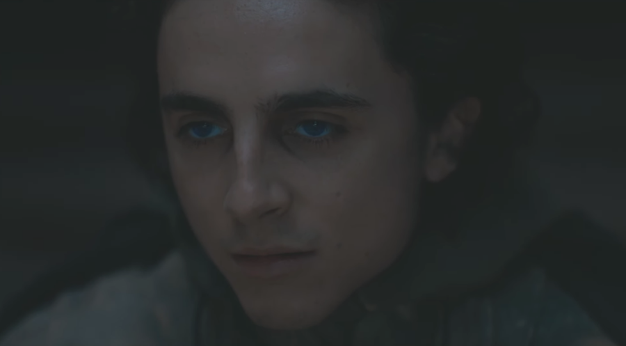 Paul Atreides with blue Fremen eyes in Dune Part Two